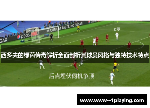 西多夫的绿茵传奇解析全面剖析其球员风格与独特技术特点 西多夫的绿茵传奇解析全面剖析其球员风格与独特技术特点