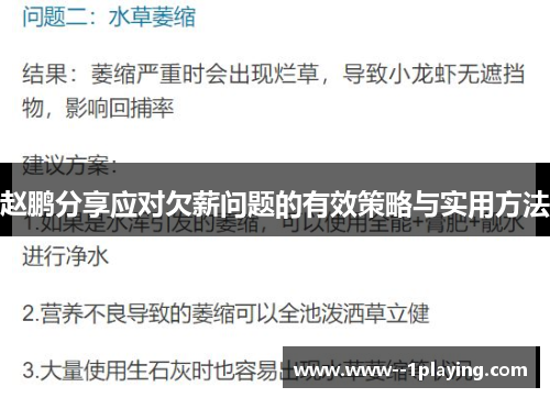 赵鹏分享应对欠薪问题的有效策略与实用方法