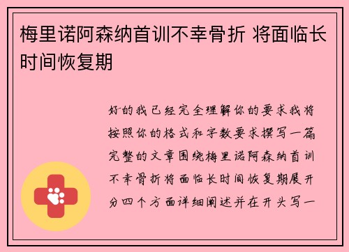 梅里诺阿森纳首训不幸骨折 将面临长时间恢复期